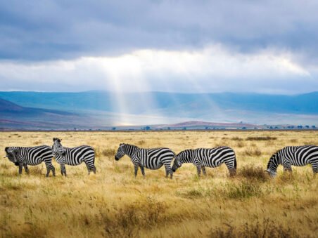 Ngorongoro Crater Tanzania