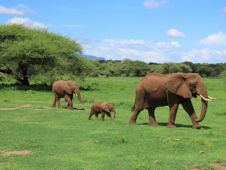 Serengeti National Park